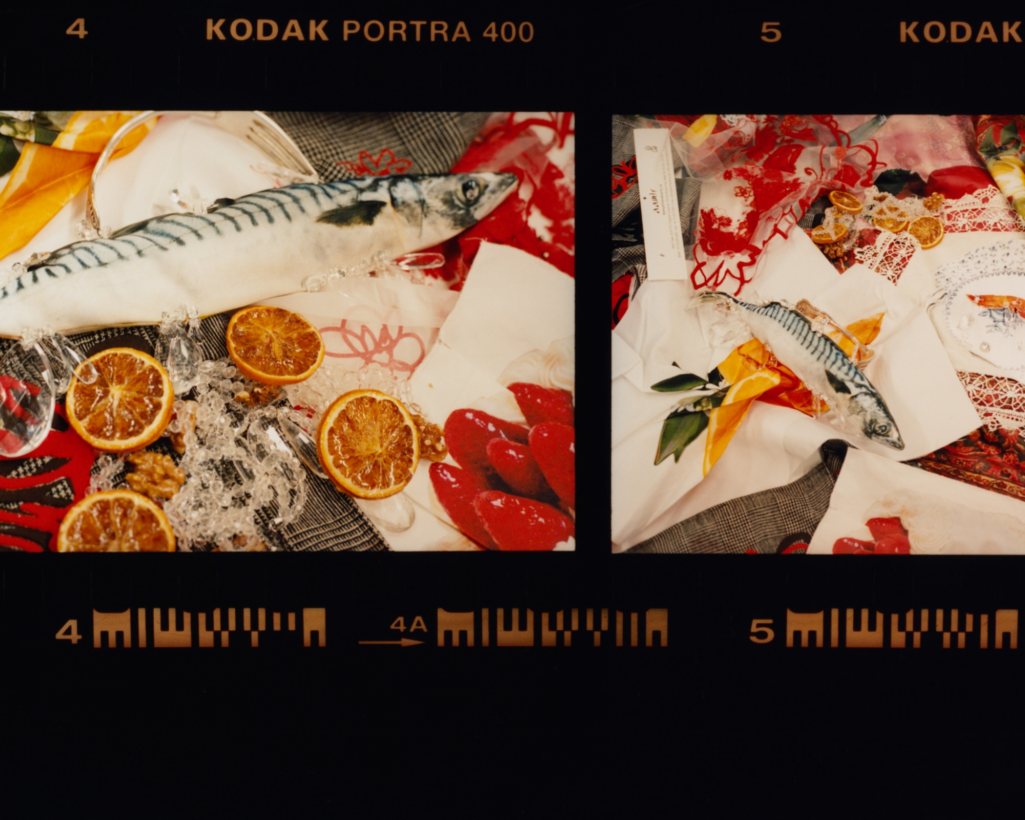 Document Journal x Rising Designers