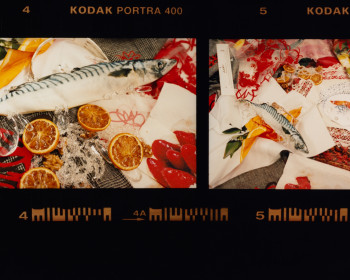 Document Journal x Rising Designers